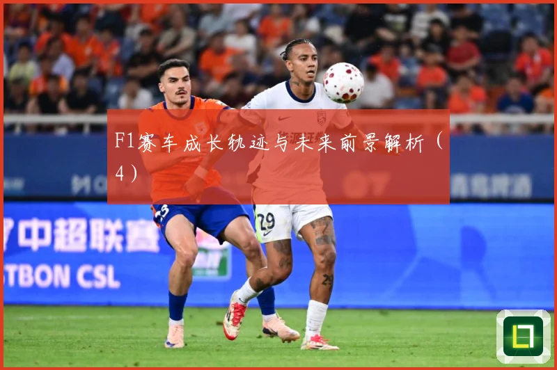 F1赛车成长轨迹与未来前景解析（4）