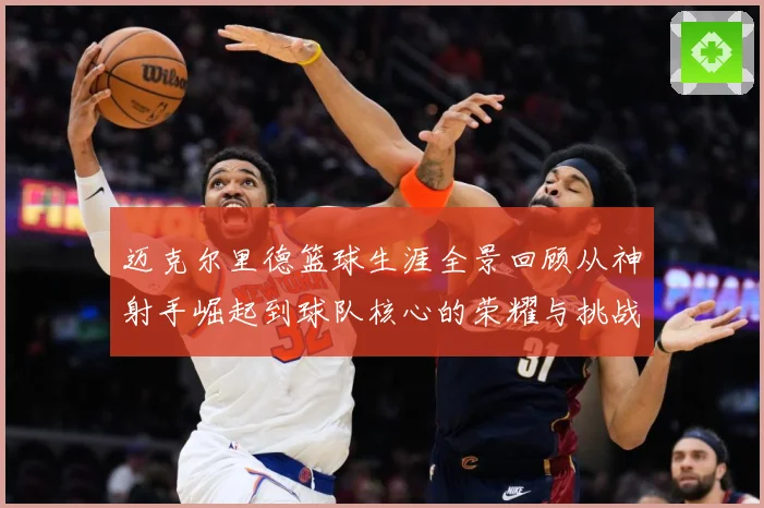 迈克尔里德篮球生涯全景回顾从神射手崛起到球队核心的荣耀与挑战