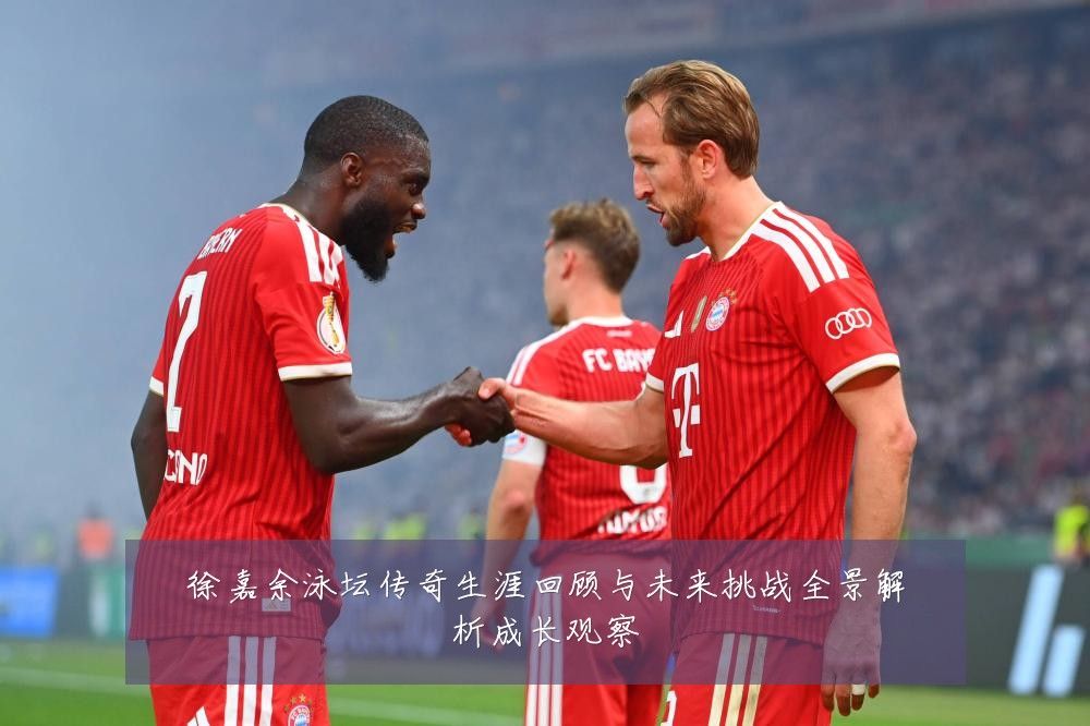 徐嘉余泳坛传奇生涯回顾与未来挑战全景解析成长观察