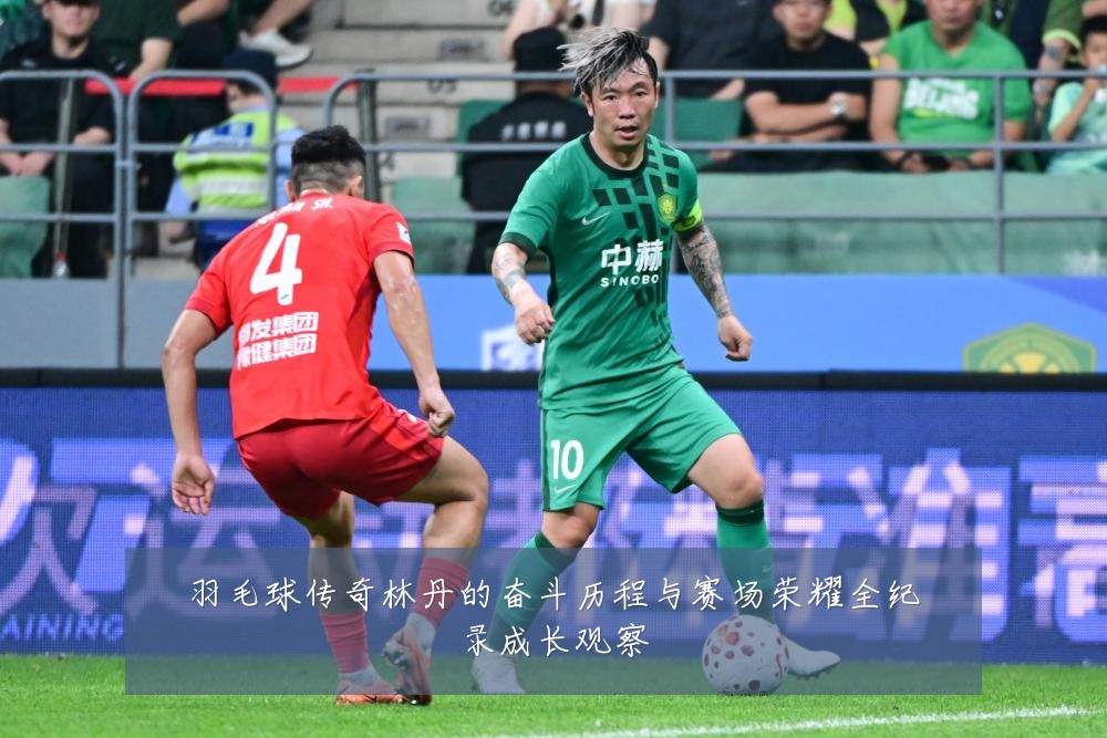 羽毛球传奇林丹的奋斗历程与赛场荣耀全纪录成长观察